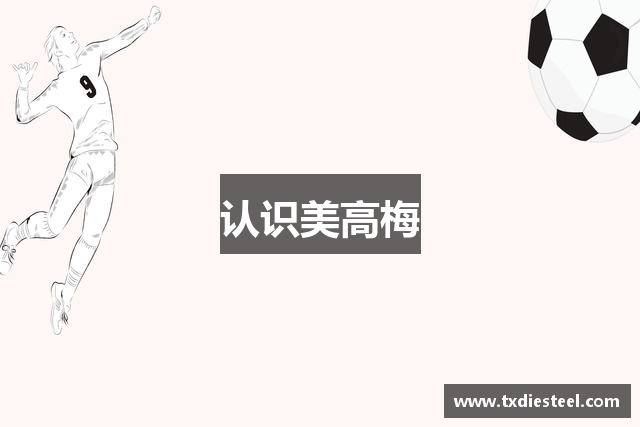 认识美高梅